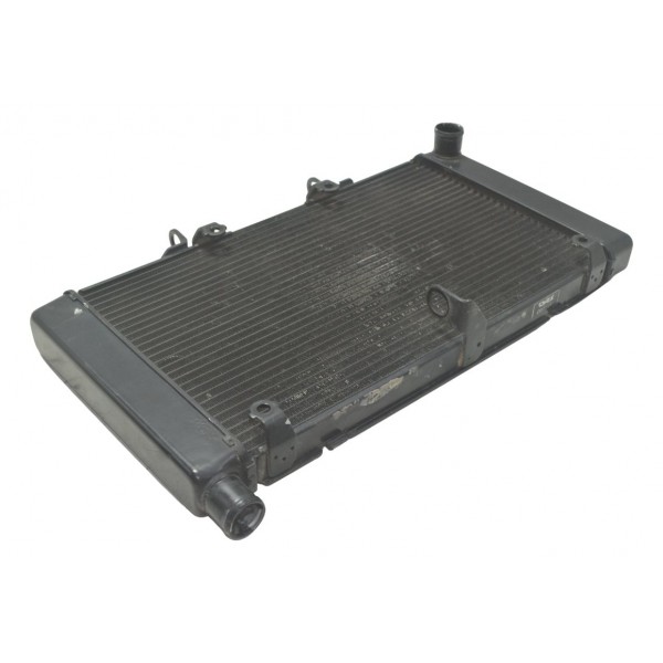 Radiador Honda Cb 600f Hornet 08-11 Original