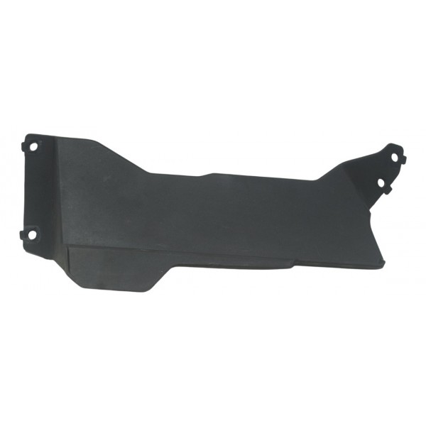 Acabamento Radiador Bmw G310 Gs 20-24 Original