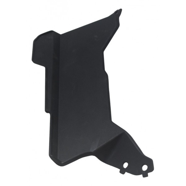 Acabamento Radiador Bmw G310 Gs 20-24 Original