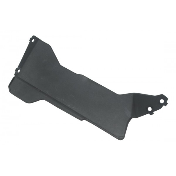 Acabamento Radiador Bmw G310 Gs 20-24 Original