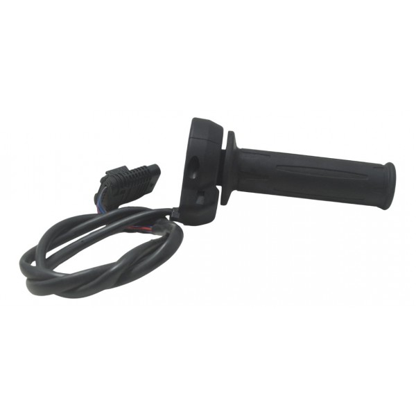 Manopla Direita Acelerador Eletrônico Bmw G310 Gs 20-24 Orig