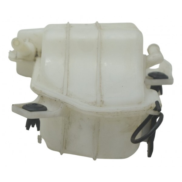 Reservatório Água Bmw G310 Gs 20-24 Original