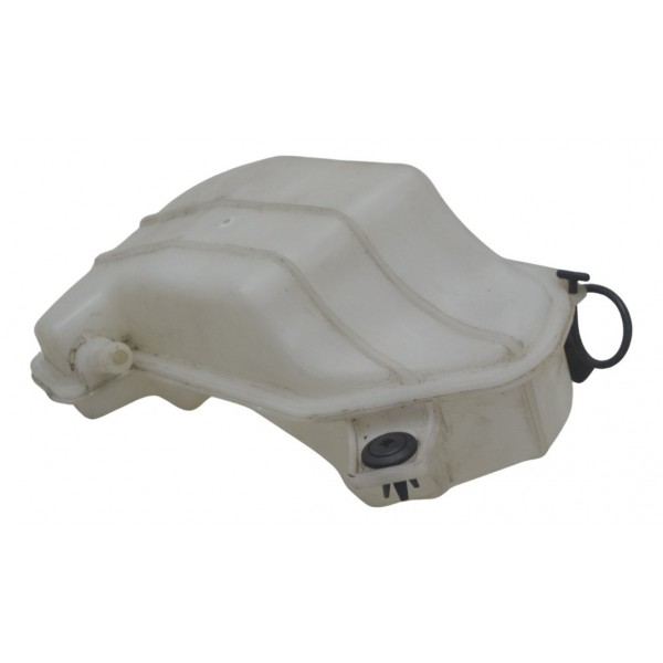 Reservatório Água Bmw G310 Gs 20-24 Original