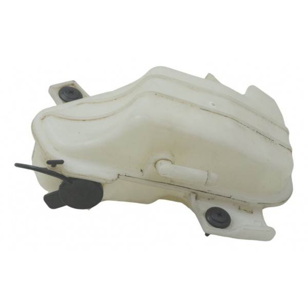 Reservatório Água Bmw G310 Gs 20-24 Original