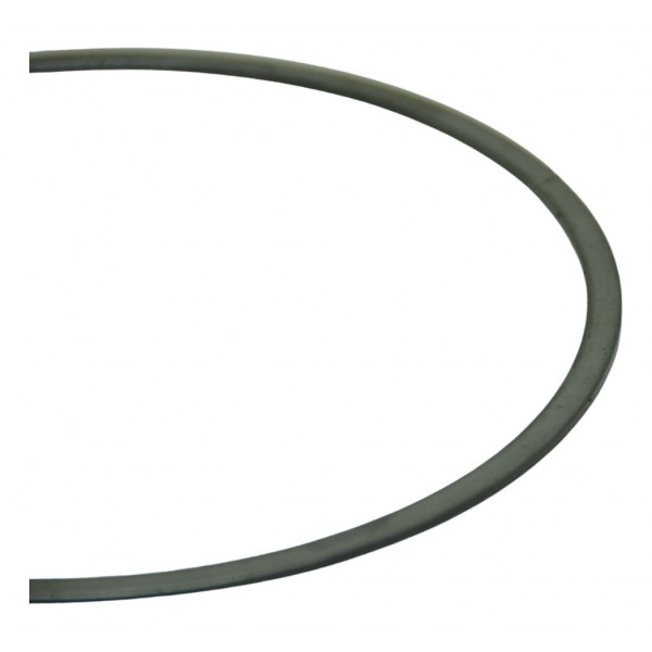 Arroela Embreagem Harley Softail Deluxe Flstn 12-15 Original