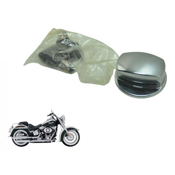 Chave Ignição Harley Softail Deluxe Flstn 12-15 Original