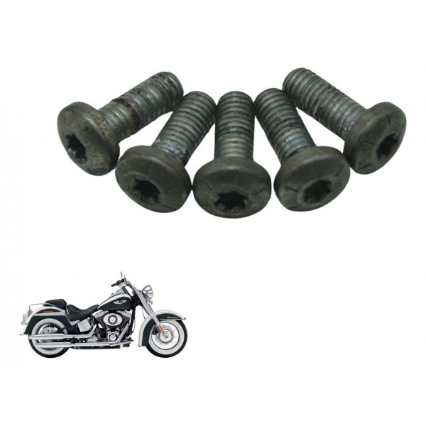 Jogo Parafuso Disco Freio Harley Softail Deluxe Flstn 12-15