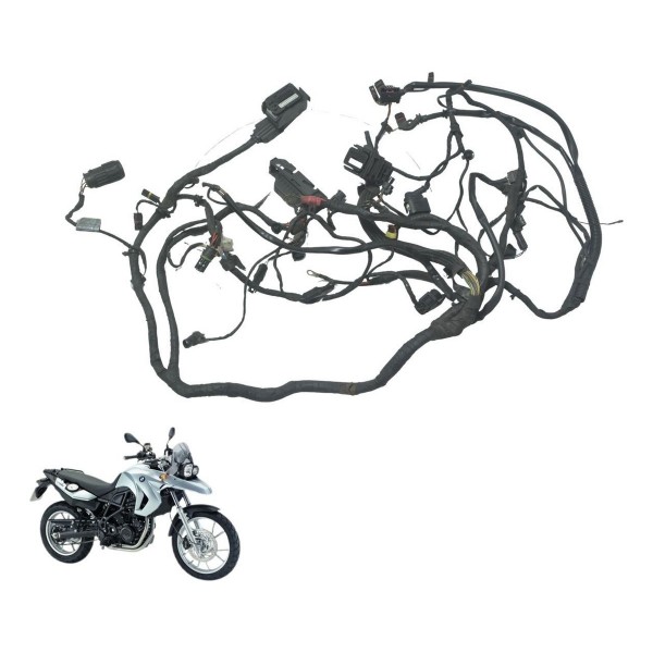 Chicote Principal Bmw F 650 Gs 09-12 Original
