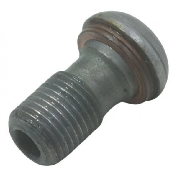 Parafuso Flexível Freio Bmw F 650 Gs 09-12 Original