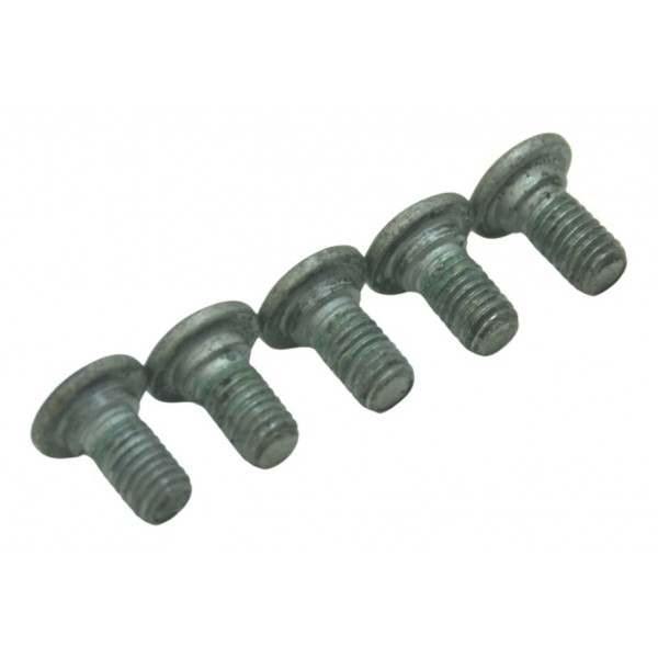 Jogo Parafusos Disco Traseiro Bmw K 1300 Gt 09-10 Original