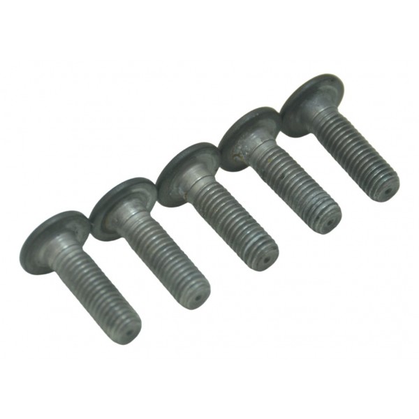 Jogo Parafuso Disco Dianteiro Bmw K 1300 Gt 09-10 Original