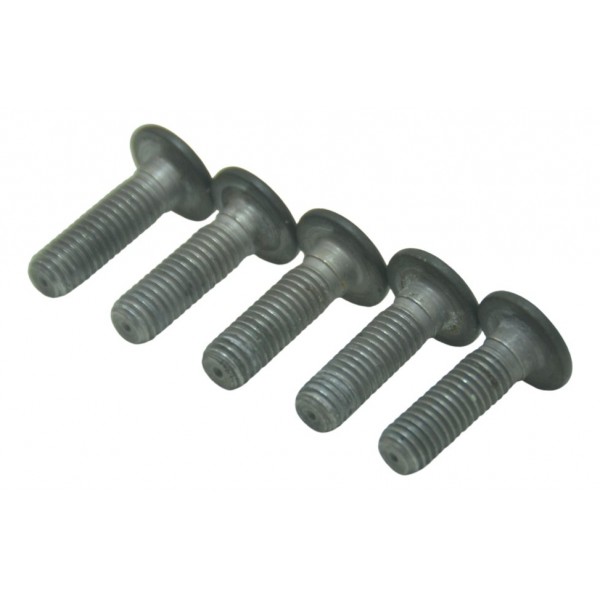 Jogo Parafuso Disco Dianteiro Bmw K 1300 Gt 09-10 Original