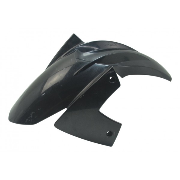 Paralama Dianteiro C/ Detalhes Bmw F 800 R 10-14 Original