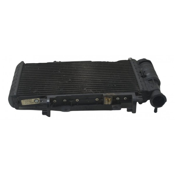 Radiador C/ Detalhes Bmw F 800 R 10-14 Original