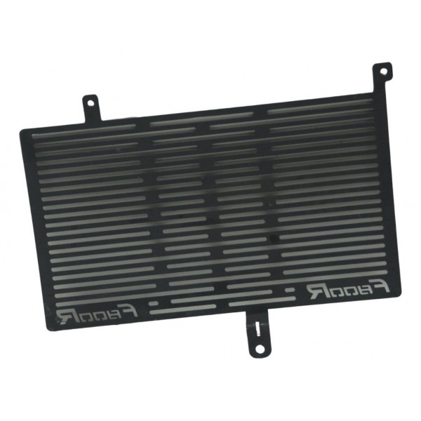 Grade Proteção Radiador Acessorio Bmw F 800 R 10-14