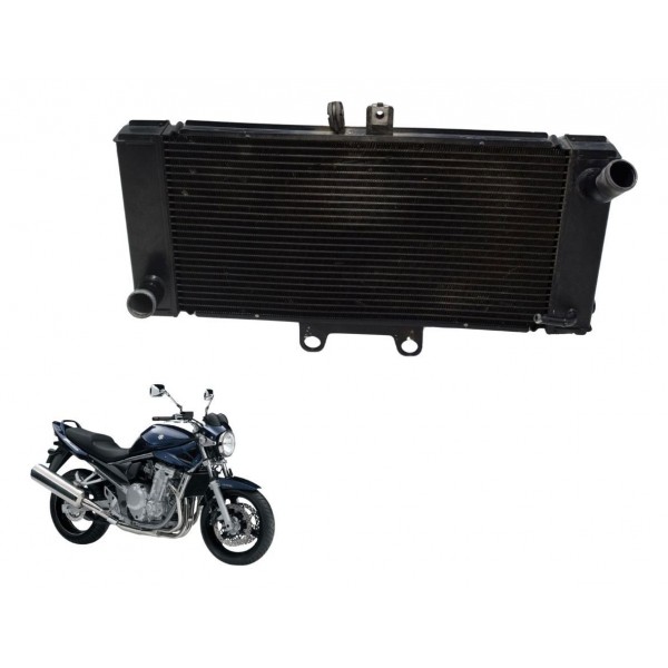 Radiador Suzuki Gsx Bandit 650n 09-11 Original