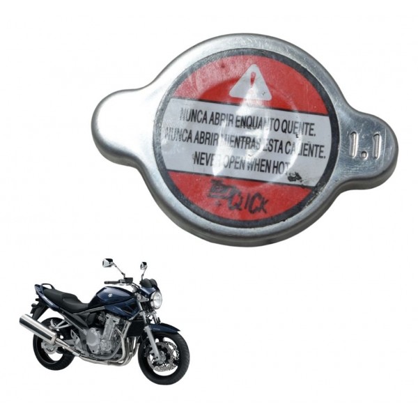 Tampa Radiador Suzuki Gsx Bandit 650n 09-11 Original