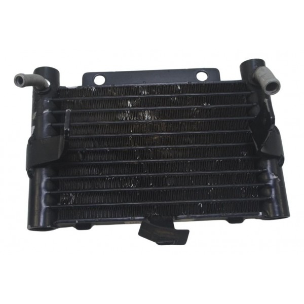 Radiador Óleo Harley Touring M8 17-22 Original
