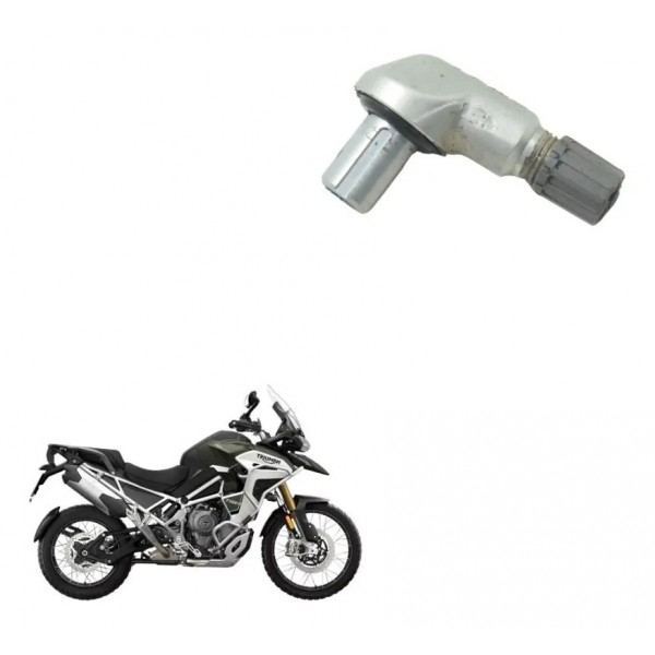 Bico Pneu Triumph Tiger 1200 Rally Ex 22-26 Origi