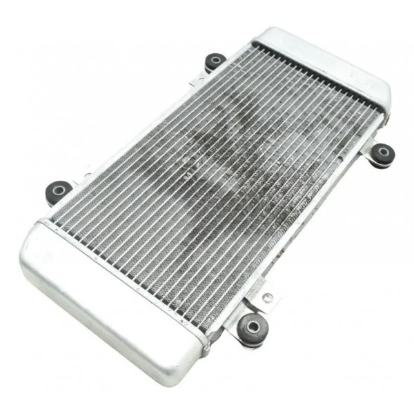 Radiador Kawasaki Ninja 250r 09-12 Original