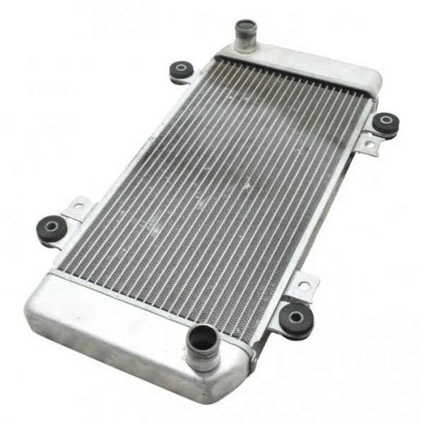 Radiador Kawasaki Ninja 250r 09-12 Original