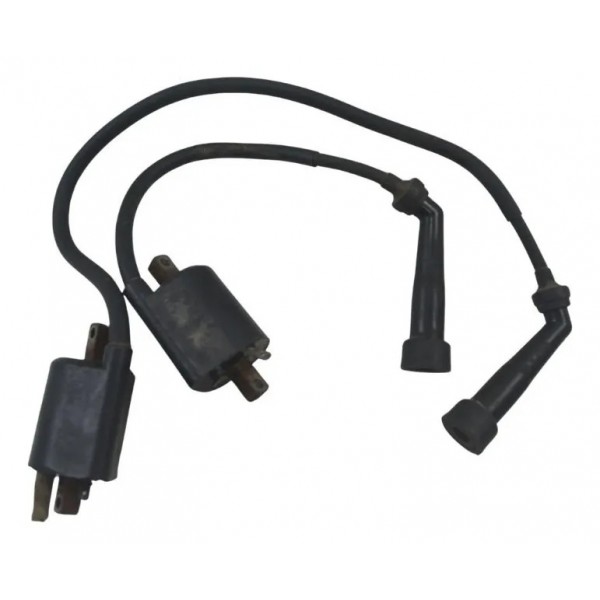 Par Bobina Ignição Yamaha Virago Xv 535 94-02 Original