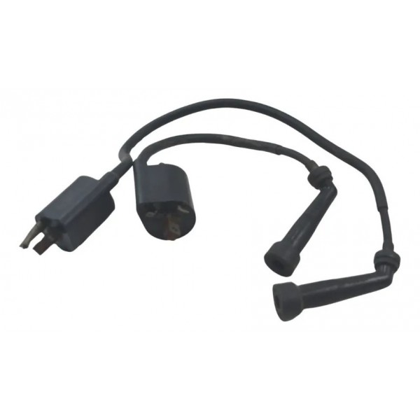 Par Bobina Ignição Yamaha Virago Xv 535 94-02 Original