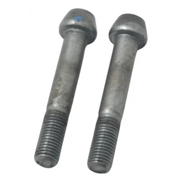 Par Parafuso Pinça Dianteira Kawasaki Zx6r 08-12 Original