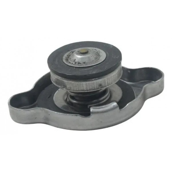 Tampa Radiador Kawasaki Zx6r 08-12 Original