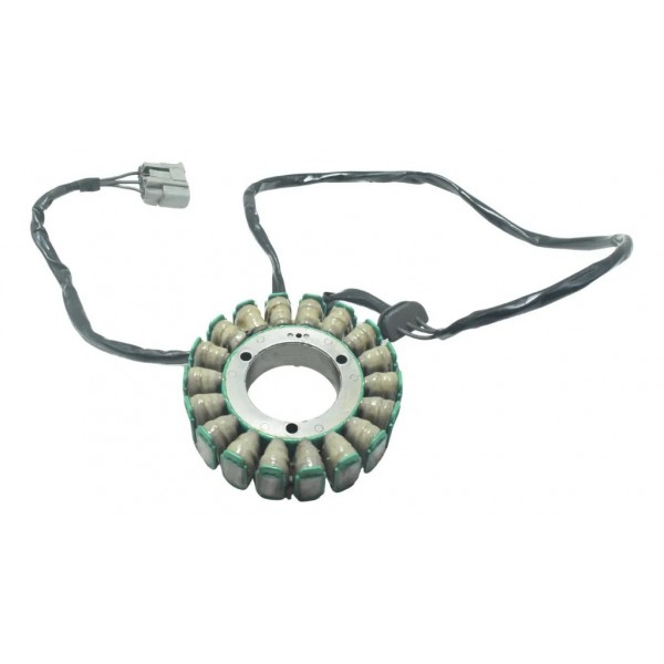 Estator Bmw F 750 Gs 18-22 Original