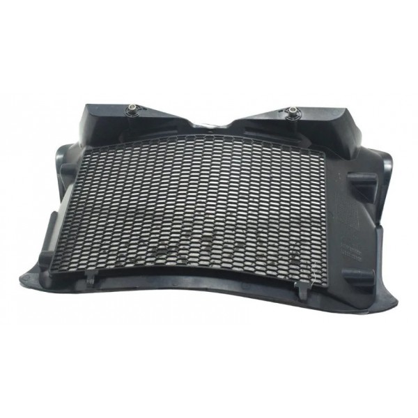 Grade Radiador Bmw F 750 Gs 18-22 Original