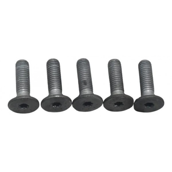 Jogo Parafuso Disco Freio Dianteiro Bmw F 750 Gs 18-22 Origi