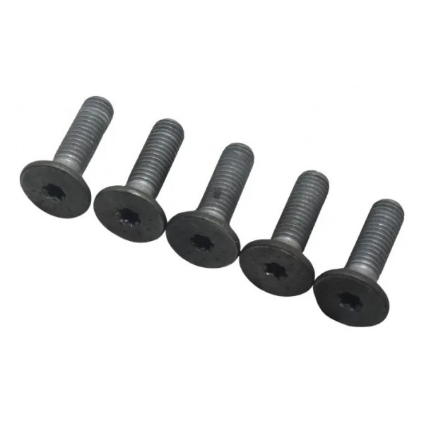 Jogo Parafuso Disco Freio Dianteiro Bmw F 750 Gs 18-22 Origi