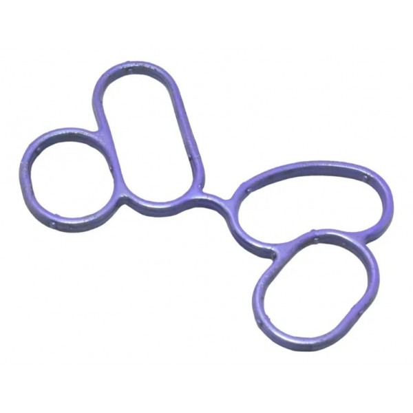 Junta Resfriador Óleo Bmw F 750 Gs 18-22 Original