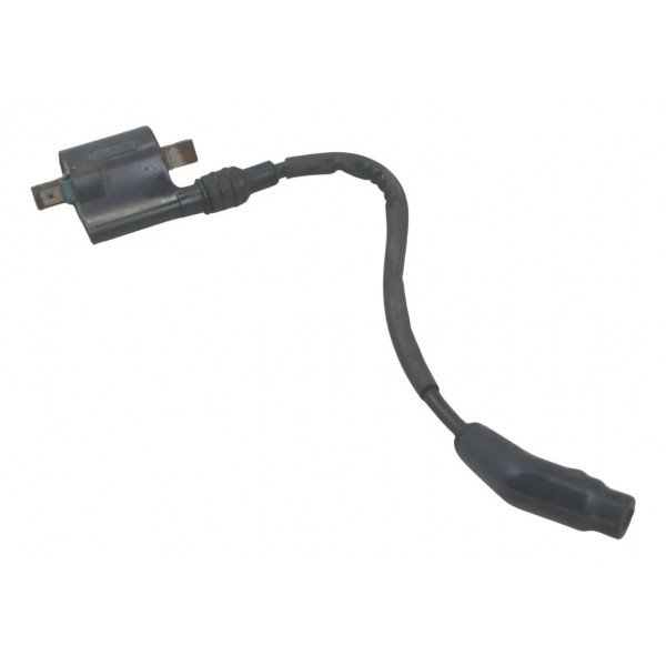 Bobina Ignição Honda Nxr 160 Bros 15-23 Original