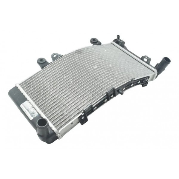 Radiador Bmw F 750 Gs 18-22 Original