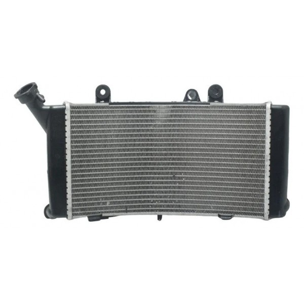 Radiador Bmw F 750 Gs 18-22 Original