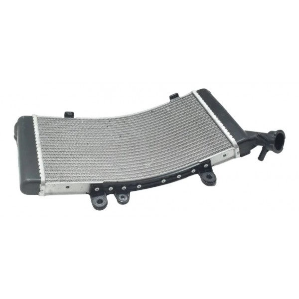 Radiador Bmw F 750 Gs 18-22 Original