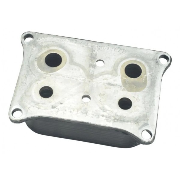 Resfriador Óleo Bmw F 750 Gs 18-22 Original