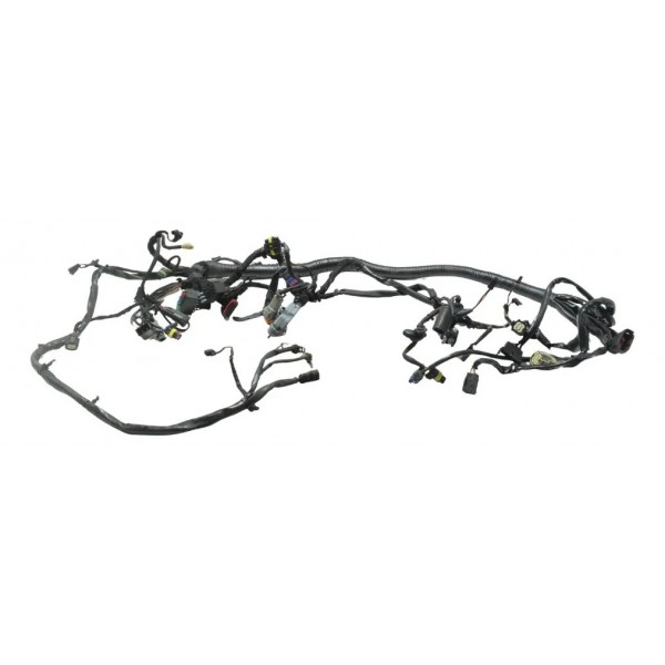 Chicote Principal C/avaria Harley Dyna 08-11 Original