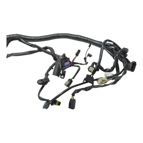 Chicote Principal C/avaria Harley Dyna 08-11 Original