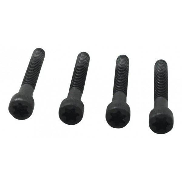 Jogo Parafuso Estator Harley Dyna 08-11 Original