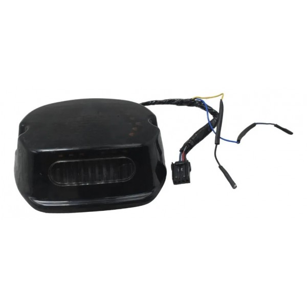 Lanterna Traseira Paralela Harley Dyna 08-11 Ambos Lados