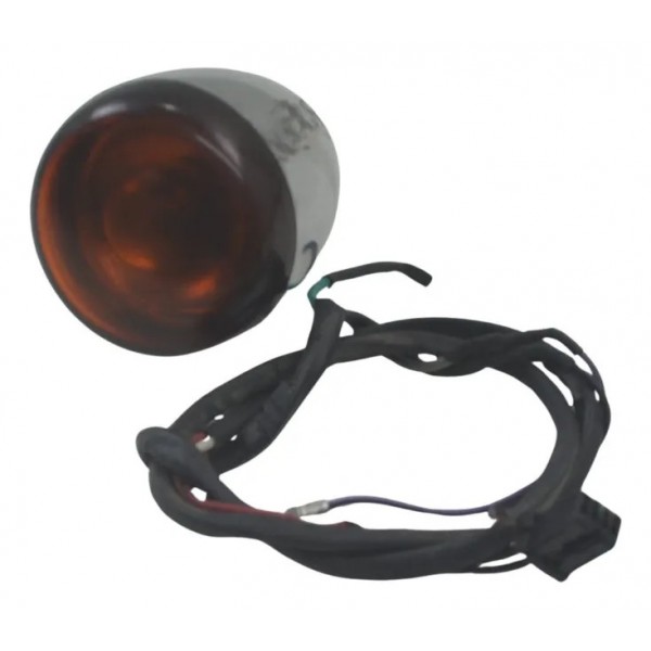 Pisca Traseiro C/detalhes S/plug Harley Xl 1200 Cb 14-16 Laranja