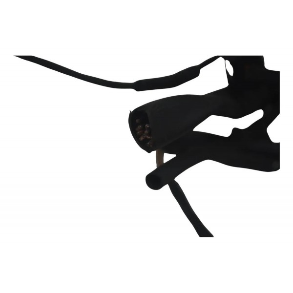 Chicote Principal C/ Avaria Bmw R 1300 Gs 24-26 Original