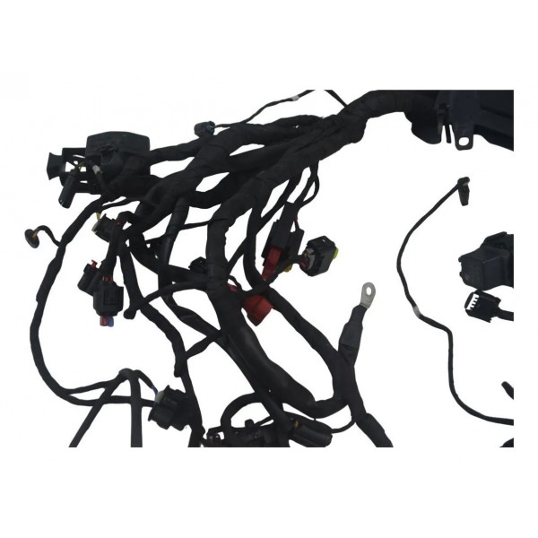 Chicote Principal C/ Avaria Bmw R 1300 Gs 24-26 Original