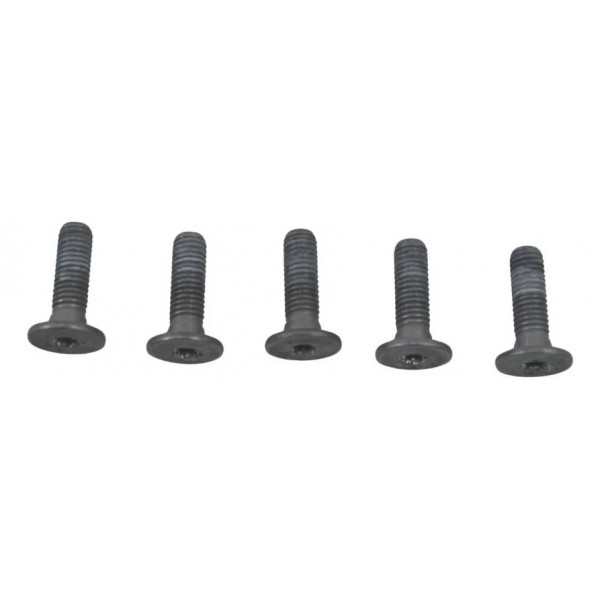 Kit Parafuso Disco Dianteiro Bmw R 1300 Gs 24-26 Original