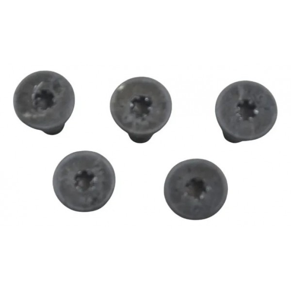 Kit Parafuso Disco Dianteiro Bmw R 1300 Gs 24-26 Original