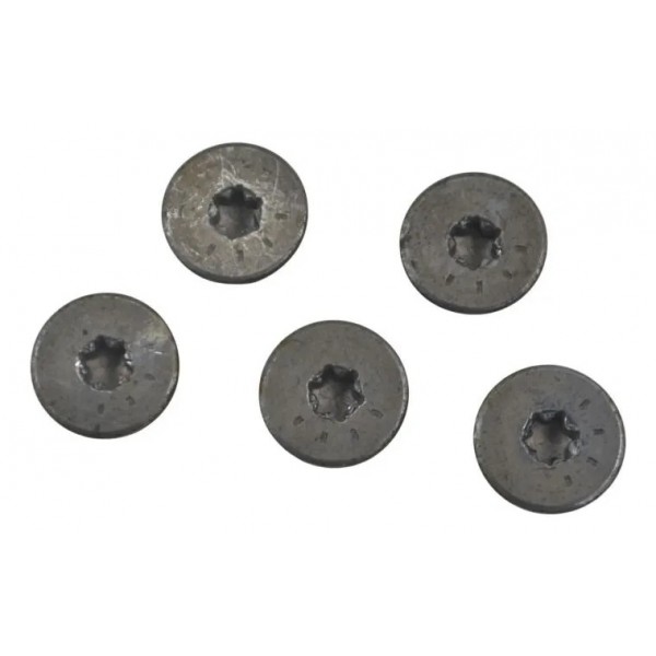 Kit Parafuso Disco Traseiro Bmw R 1300 Gs 24-26 Original