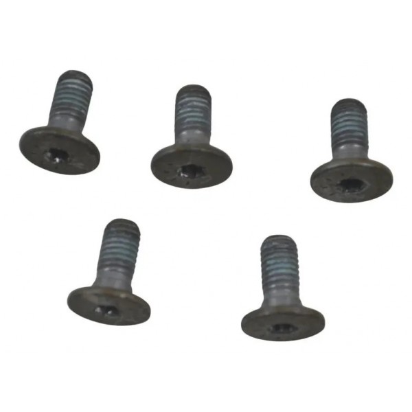 Kit Parafuso Disco Traseiro Bmw R 1300 Gs 24-26 Original